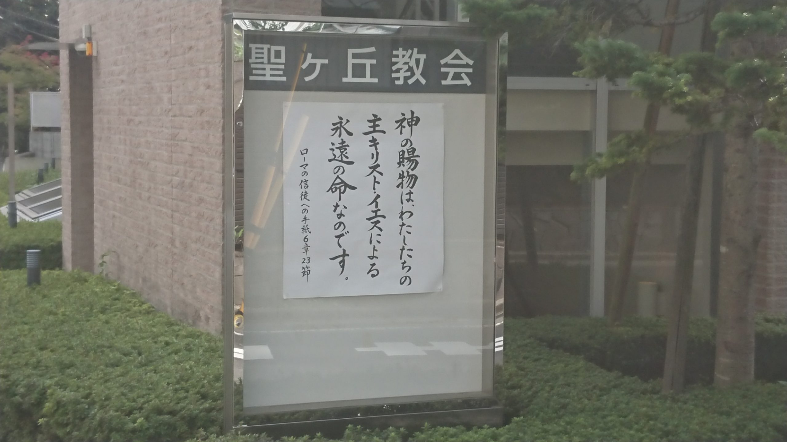 3eeusjspitlwdm